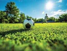 球探比分多平台展示