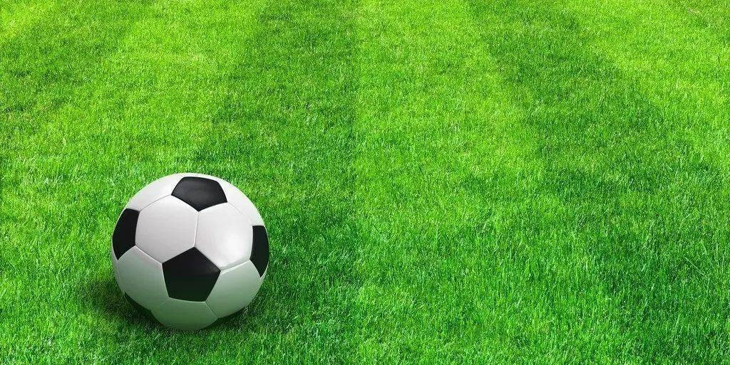 球探比分应用界面展示