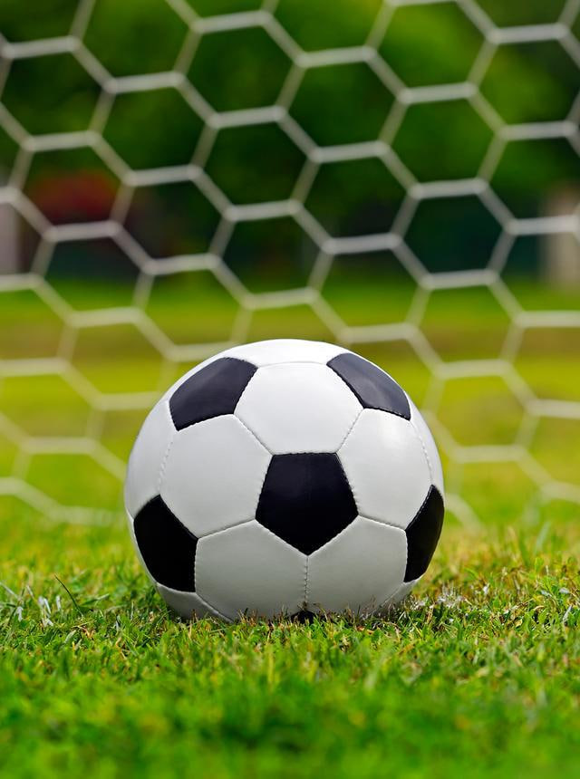 球探比分品牌标识